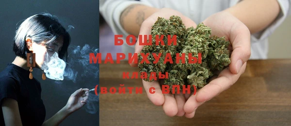 бошки Аркадак