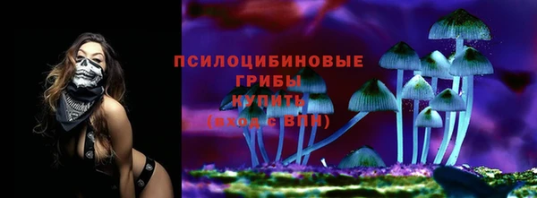 прущий лед Арсеньев