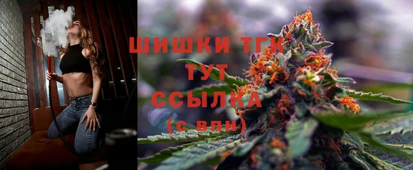 бошки Аркадак